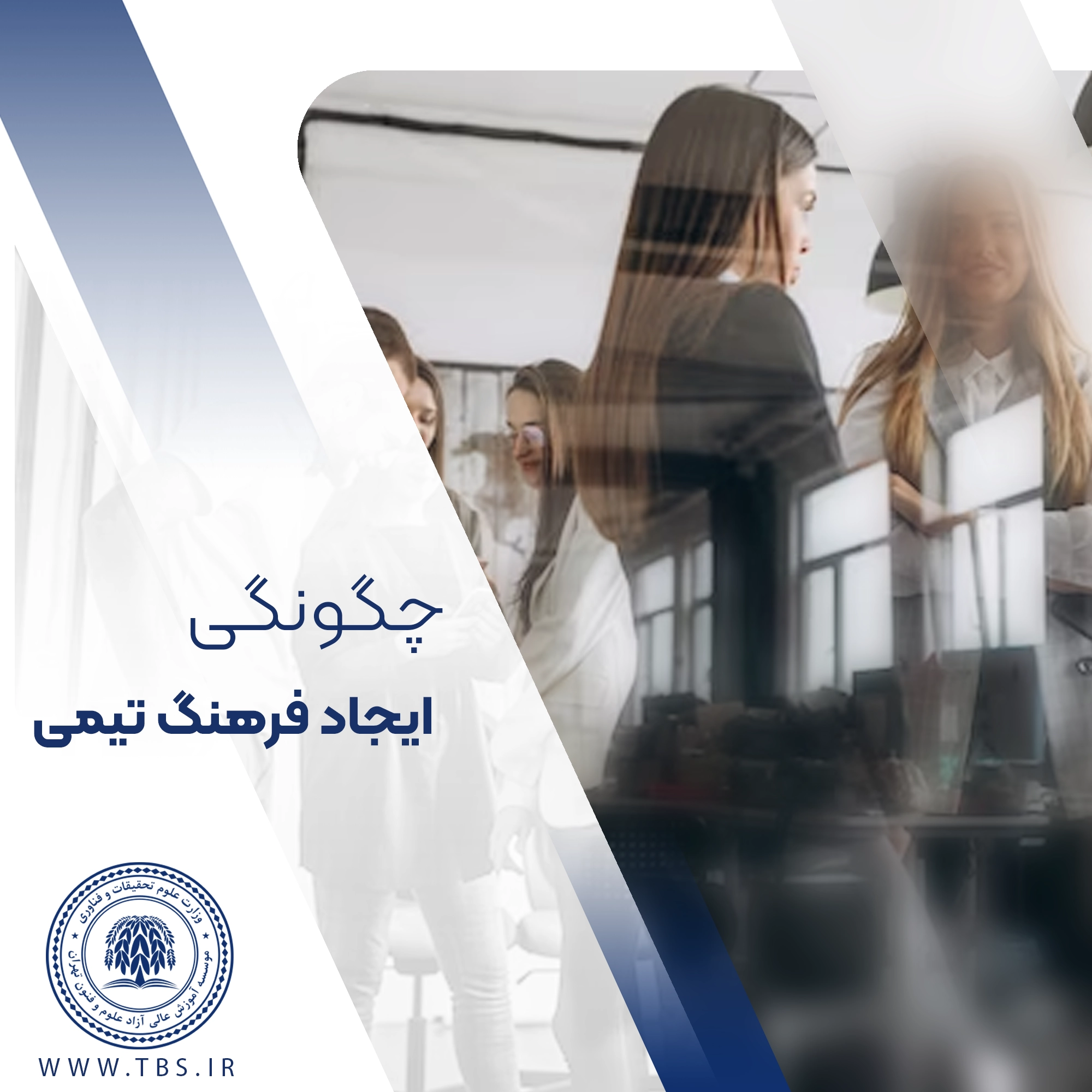 ایجاد فرهنگ تیمی